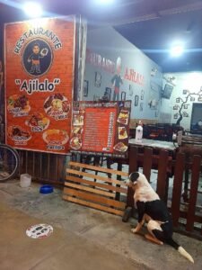 This Restaurant Owner Feeds Every Stray Dog That Comes To His Restaurant.